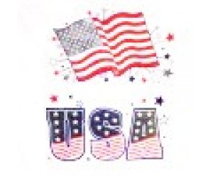 USA WALL DECOR 2 ASST. FLAG,USA